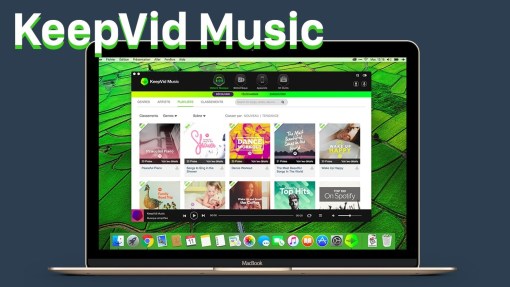 KeepVid Music 8.3.0.4 Crack