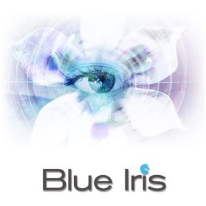 Blue Iris 4.6 Crack