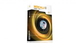 Mercalli V4.0.452.1 Crack